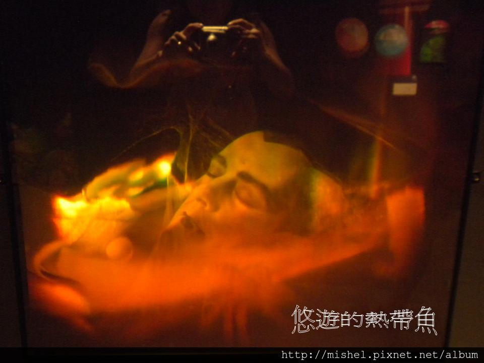 投影片67 投影片67