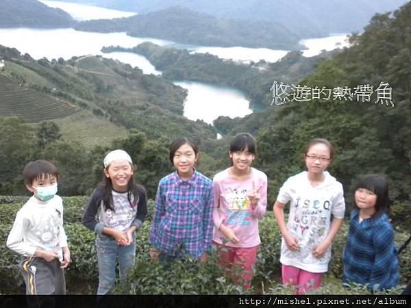 投影片1 投影片1