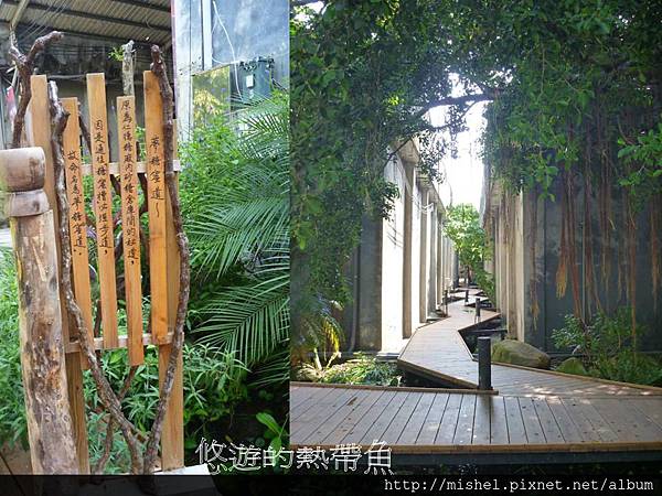 投影片11.JPG 投影片11.JPG