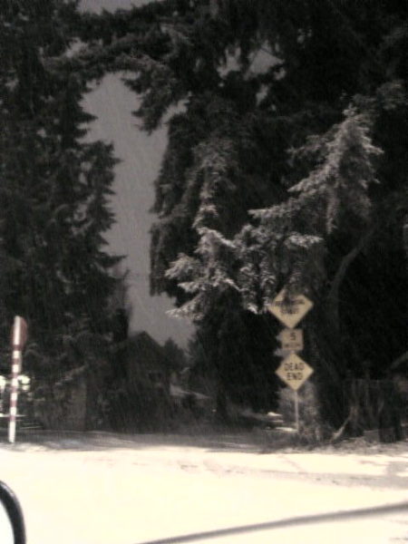 First snow in Seattle &amp;#039;06