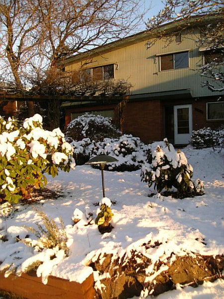 my house with snow