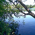 Greenlake