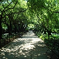 Conservatory Garden