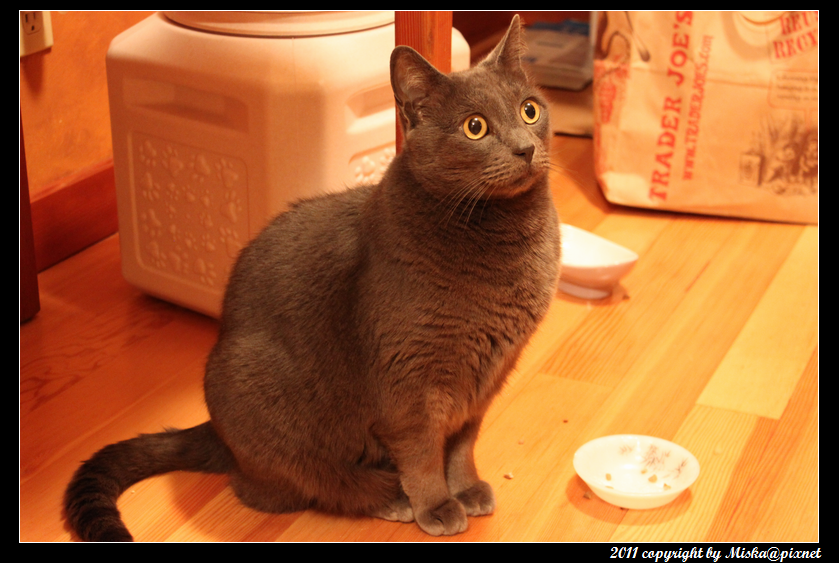 IMG_4346_mod.png IMG_4346_mod.png
