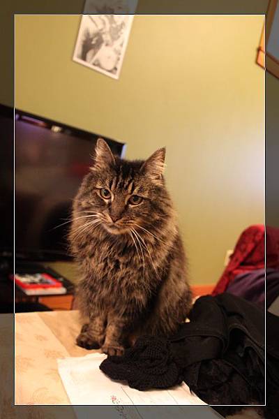 IMG_5191_mod.jpg IMG_5191_mod.jpg