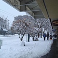 snowy street