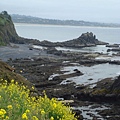 Tidal pool