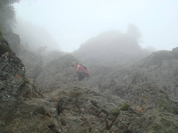 Coming down haystack