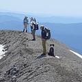 Hikers and dog