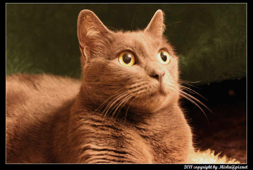 IMG_4350_mod.png IMG_4350_mod.png