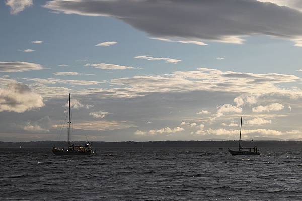 sailing boats