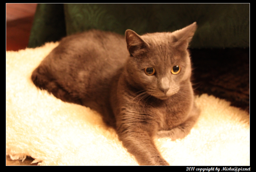 IMG_4347_mo.png IMG_4347_mo.png