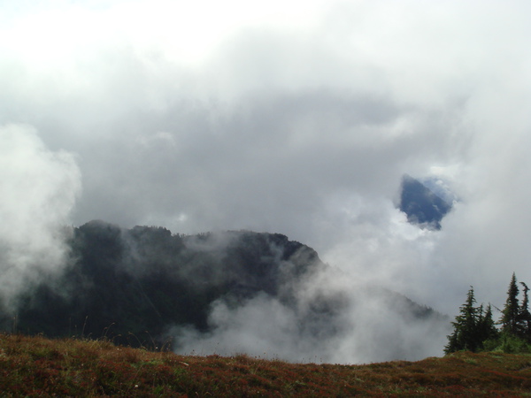 at the summit