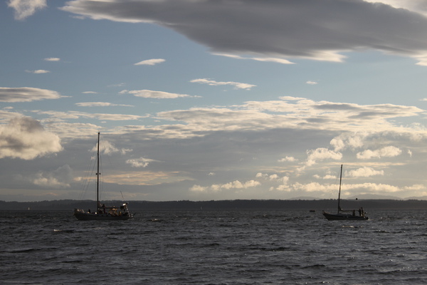 sailing boats sailing boats