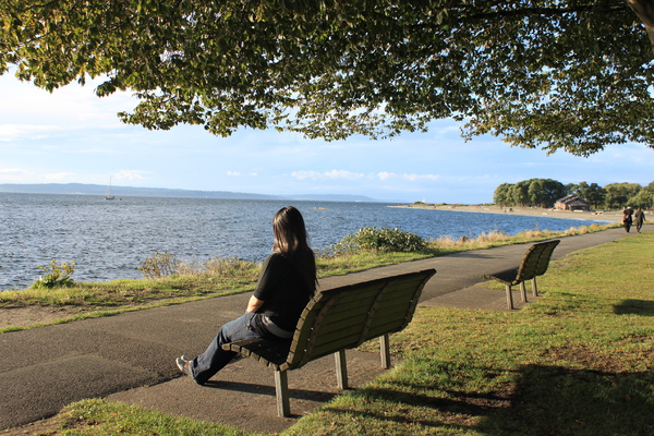 Golden Gardens