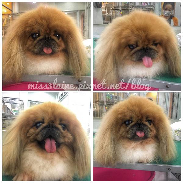 Photo 12-02-2017, 10 45 15 PM Photo 12-02-2017, 10 45 15 PM