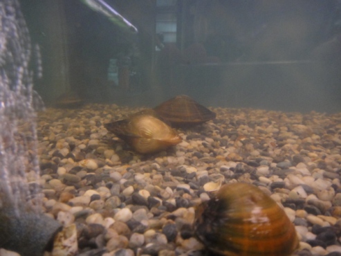 期貨大台指手續費