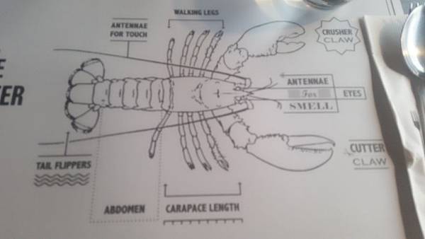 台北東區。The Lobster Bar 龍蝦料理餐廳//推薦好吃招牌龍蝦三明治堡超好吃●青菜呷呷。食尚小咪