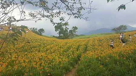 花蓮旅遊景點推薦  金針山 - 六十石山