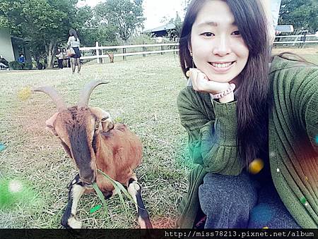 台東好玩新景點分享台東美食台東原生應用植物園鐵花村音樂聚落藍蜻蜓炸雞阿鋐炸雞台東3天兩夜行程推薦