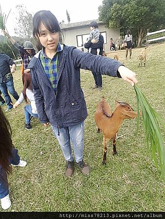 台東好玩新景點分享台東美食台東原生應用植物園鐵花村音樂聚落藍蜻蜓炸雞阿鋐炸雞台東3天兩夜行程推薦