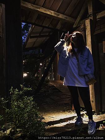 鳳林月廬梅子雞