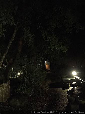 鳳林月廬梅子雞