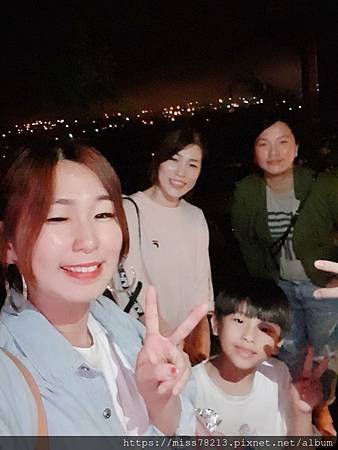 鳳林月廬梅子雞