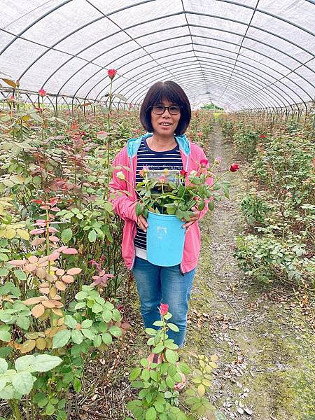 花蓮三天兩夜行程建議、推薦必去景點溫泉好吃美食有哪些(202