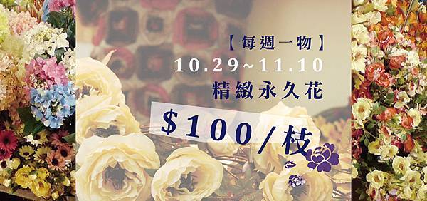 10/29-11/10精緻永久花1枝100元