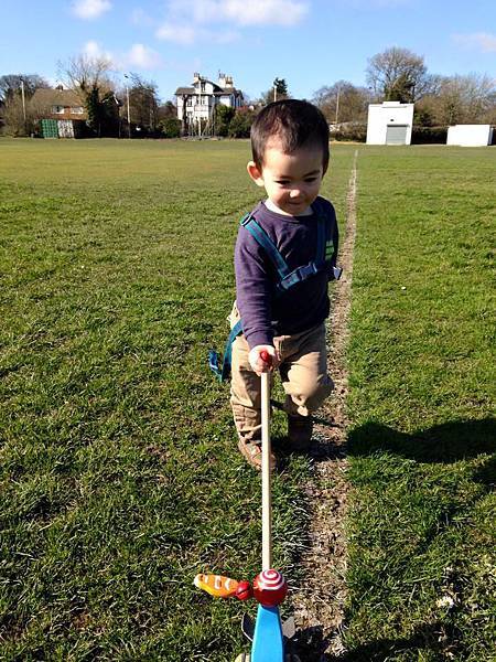 Darcy walking with stick 3 Darcy walking with stick 3