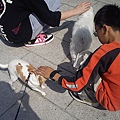 上橋前~遇到日本一家人和狗~跟娃娃玩一下下