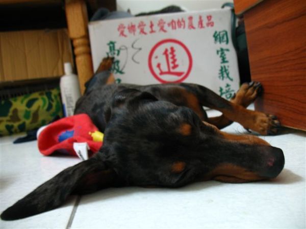 六月十九日 (3).JPG