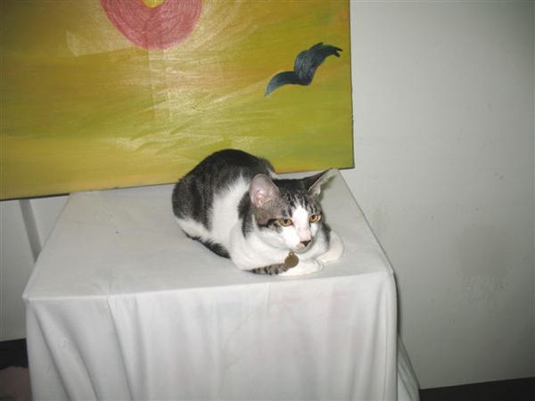 IMG_0115.JPG