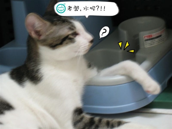 水呢.jpg