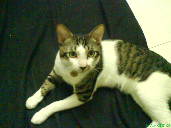 DSC04685.JPG
