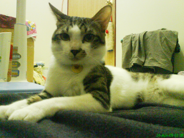 DSC04684.JPG