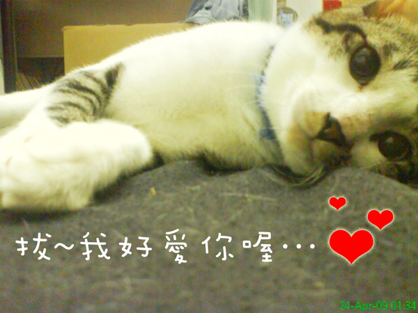 DSC04699.jpg