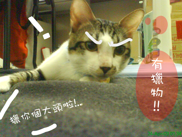 DSC04698.jpg