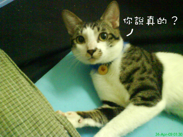 DSC04687.jpg