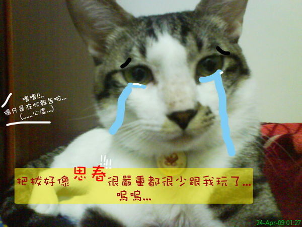 DSC04682.jpg