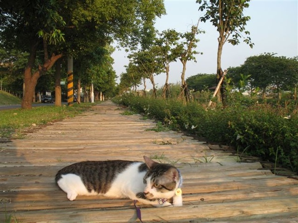 公園步道
