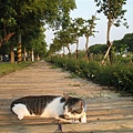 公園步道