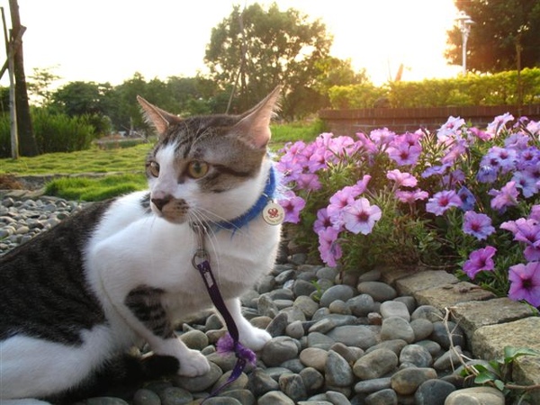 賞花吧～