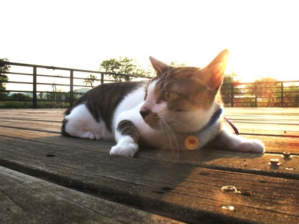 夕陽很美哦