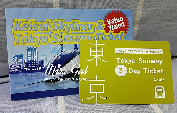 Tokyo Subway+Skyliner.jpg
