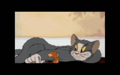 Tom ahd Jerry.gif