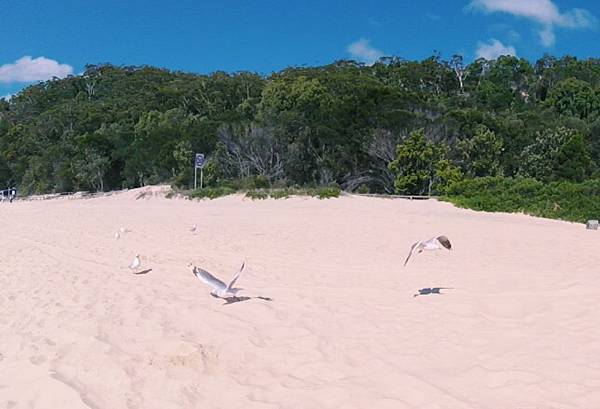 %E6%9C%AA%E5%91%BD%E5%90%8D