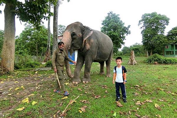 尼泊爾奇旺國家公園Safari+塔魯族舞蹈表演 尼泊爾奇旺國家公園Safari+塔魯族舞蹈表演