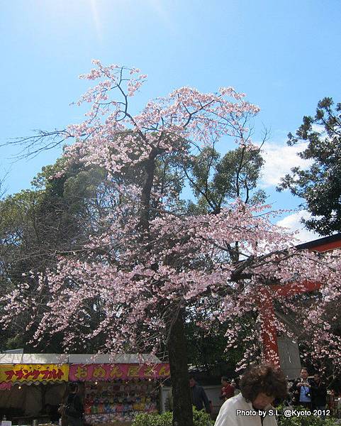 知恩院院外